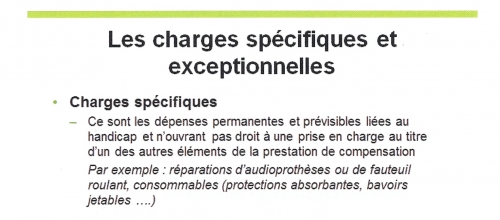 CNSA Charges exceptionnelles0001.jpg