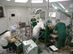 Photo bloc opératoire, Nevit Dilmen, jpg